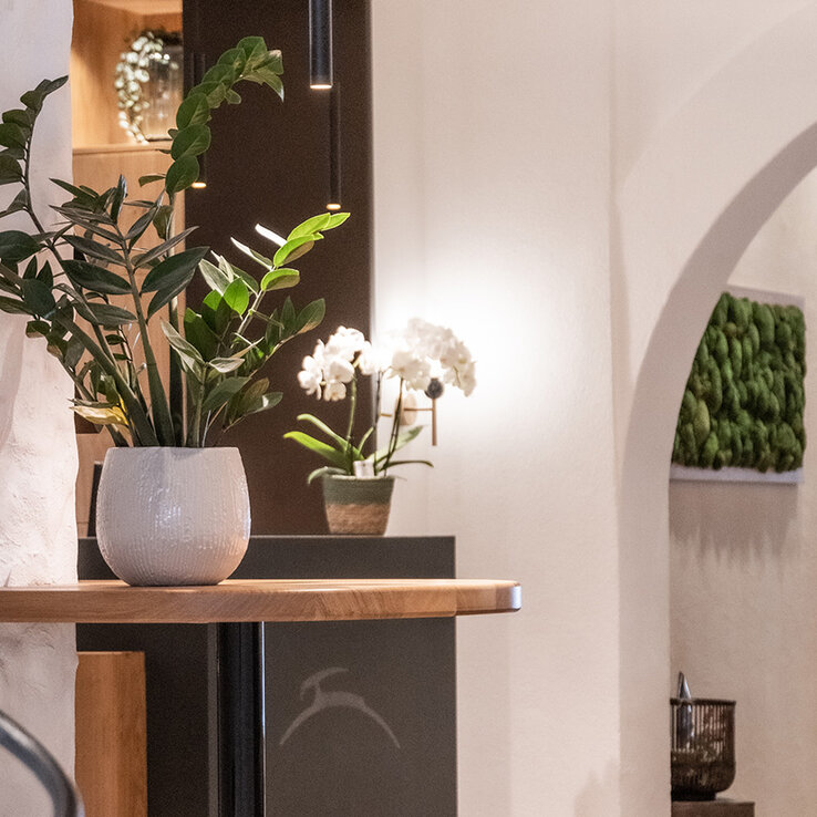 Ein modernes, minimalistisches Interieur mit Topfpflanzen auf einem runden Holztisch, neutralen Wänden, einem gewölbten Türbogen und sanfter Beleuchtung, die eine gemütliche, einladende Atmosphäre schafft.