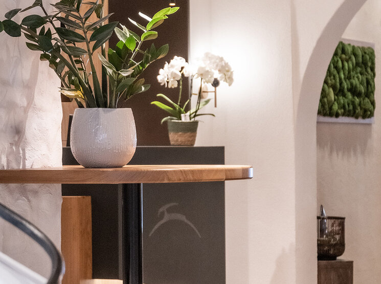 Modernes Interieur mit weißen Wänden, einem runden Tisch mit einer Topfpflanze, einem gewölbten Türbogen und sanfter Beleuchtung. Zierpflanzen und Kunstwerke verleihen dem klaren, minimalistischen Raum eine beruhigende Note.