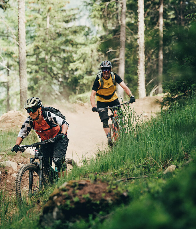 Zwei Personen fahren mit Mountainbikes auf einem Feldweg durch einen Wald; sie tragen Helme und Rucksäcke. Der Weg ist von üppig grünen Bäumen und Vegetation gesäumt. Sonnenlicht fällt durch die Bäume und erhellt die Szene.