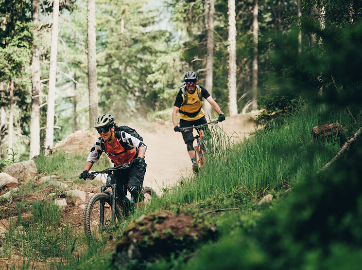 Zwei Personen fahren mit Mountainbikes auf einem Feldweg durch einen Wald; sie tragen Helme und Rucksäcke. Der Weg ist von üppig grünen Bäumen und Vegetation gesäumt. Sonnenlicht fällt durch die Bäume und erhellt die Szene.