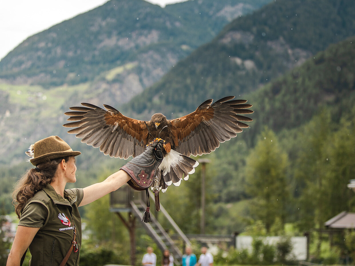 Eine Frau mit Hut streckt ihren mit einem Handschuh bekleideten Arm aus, während sich ein großer Raubvogel, möglicherweise ein Falke oder ein Adler, mit weit ausgebreiteten Flügeln darauf niederlässt. Im Hintergrund sind Berge und Bäume zu sehen.