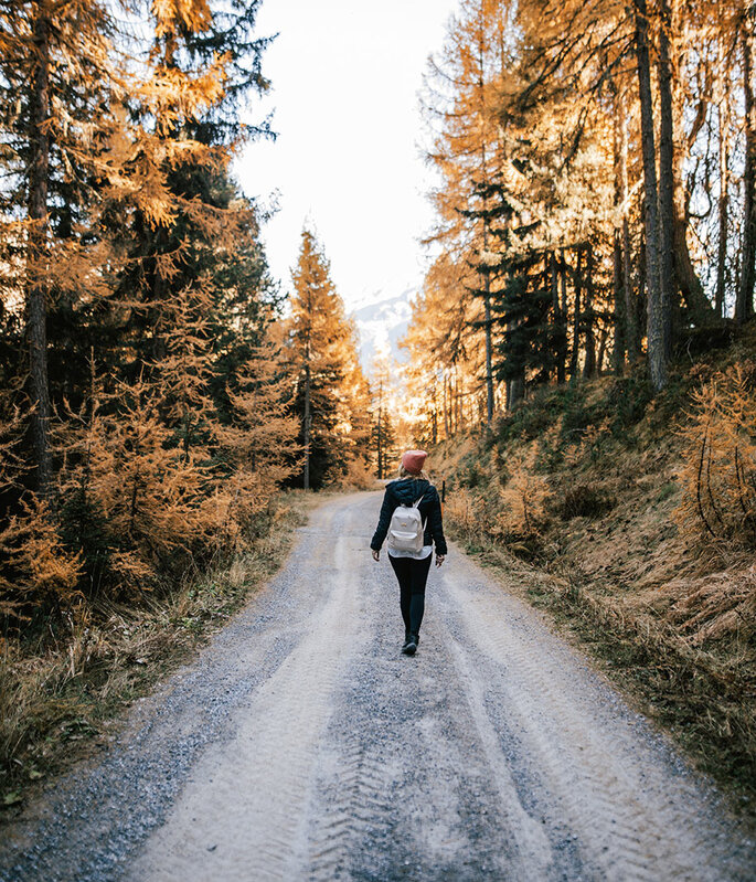 Eine Person mit einem Rucksack geht allein einen Schotterweg entlang, der von hohen Bäumen mit goldenem Herbstlaub gesäumt ist, unter einem klaren Himmel.