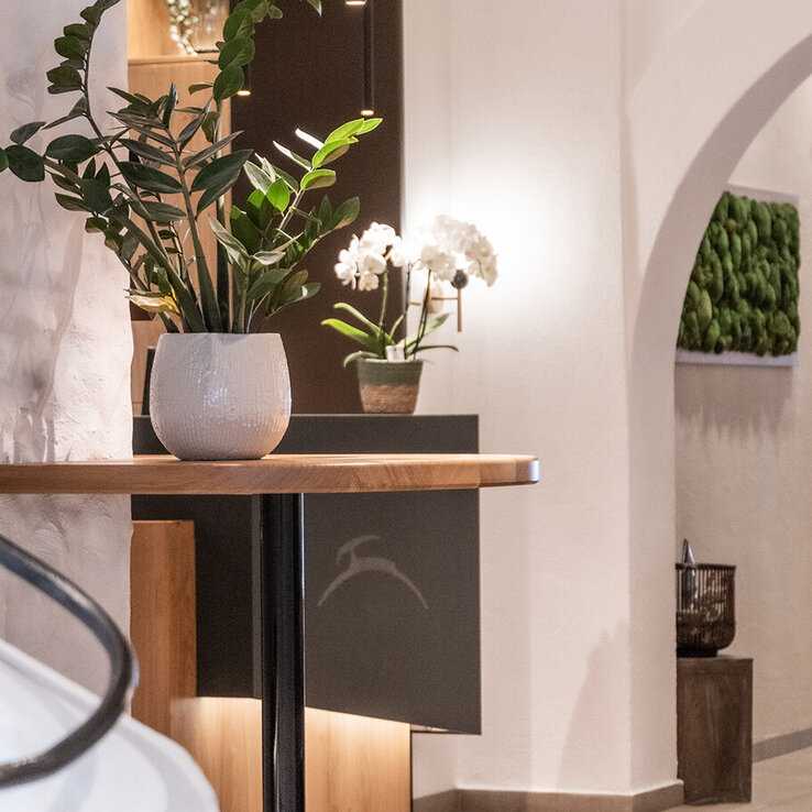 Ein modernes, minimalistisches Interieur mit Topfpflanzen auf einem Holztisch, neutralen Wänden und sanfter Beleuchtung. Im Hintergrund sind ein gewölbter Türdurchgang und eine Dekoration aus grünem Moos zu sehen.