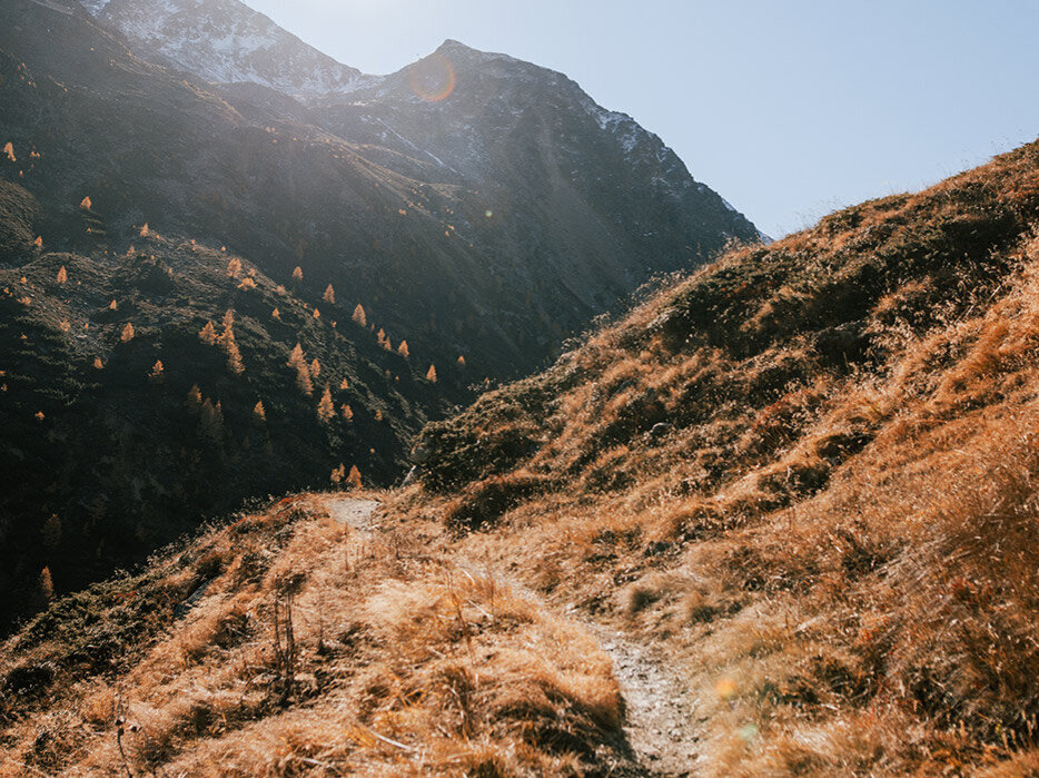 Ein sonnenbeschienener Bergpfad schlängelt sich durch trockenes Gras und führt unter einem strahlend blauen Himmel zu schroffen Gipfeln.
