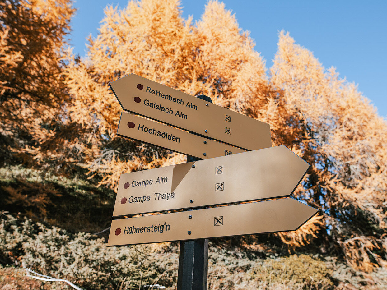 Ein Wegweiser mit fünf gelben Richtungsschildern weist auf verschiedene Wanderwege hin, vor dem Hintergrund herbstlicher Bäume mit gold-orangefarbenem Laub unter einem strahlend blauen Himmel.