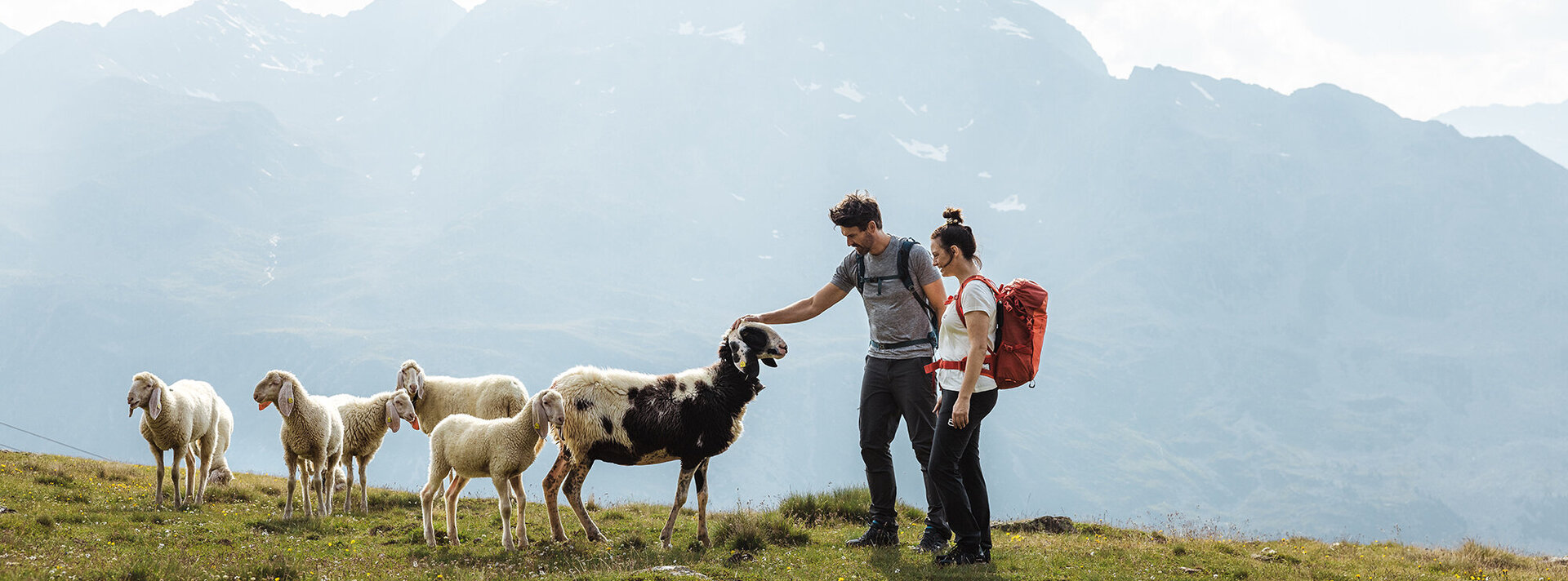 Zwei Menschen mit Rucksäcken stehen auf einem grasbewachsenen Hang und streicheln ein schwarz-weißes Schaf inmitten einer kleinen Herde. Im Hintergrund ragen unter einem dunstigen Himmel Berggipfel empor.