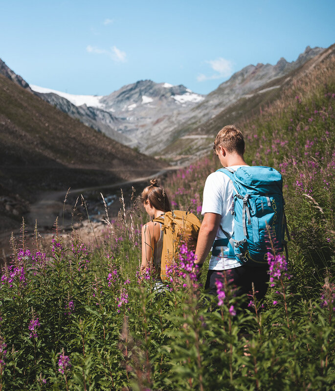 Zwei Wanderer mit Rucksäcken gehen auf einem Bergpfad durch hohe, violette Wildblumen, umgeben von grünen Hügeln und fernen schneebedeckten Gipfeln unter blauem Himmel.