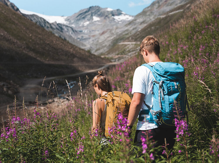 Zwei Wanderer mit Rucksäcken gehen auf einem Bergpfad durch hohe, violette Wildblumen, umgeben von grünen Hügeln und fernen schneebedeckten Gipfeln unter blauem Himmel.