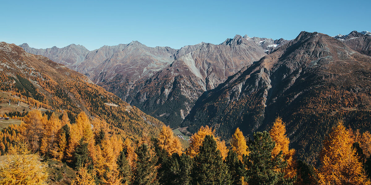 Berglandschaft mit schroffen Gipfeln im Hintergrund und einem Wald mit leuchtend gelbem und orangefarbenem Herbstlaub im Vordergrund unter einem strahlend blauen Himmel.