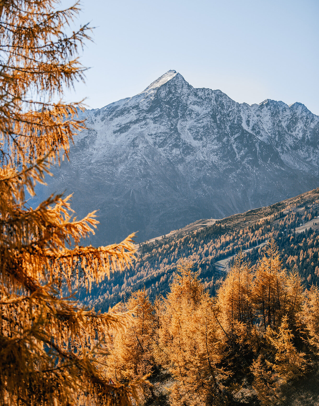 Ein schneebedeckter Berggipfel unter klarem Himmel, im Vorder- und Mittelgrund leuchtend orangefarbene Herbstbäume.