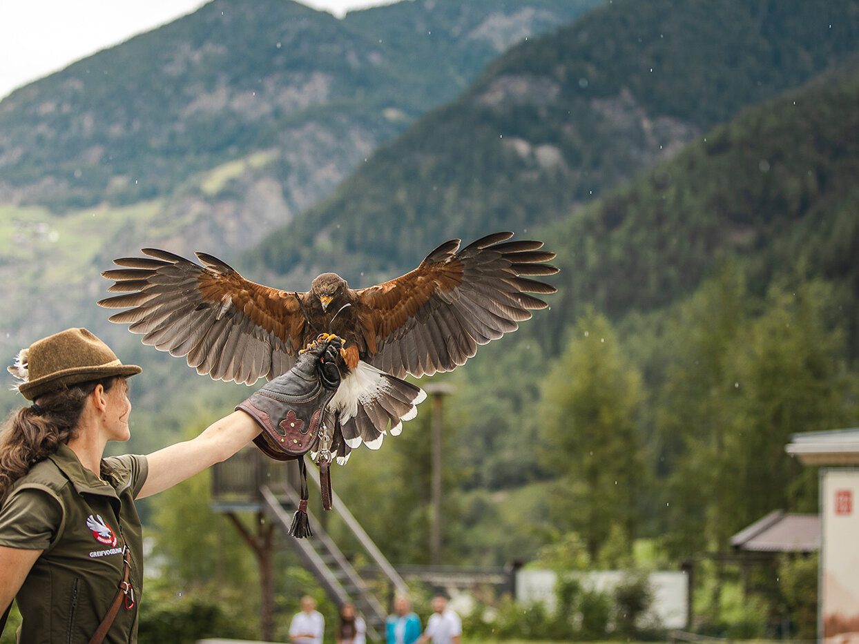 Eine Frau mit Hut und Handschuhen hält im Freien einen großen Raubvogel mit ausgebreiteten Flügeln in der Hand, im Hintergrund sind Berge und Bäume zu sehen.